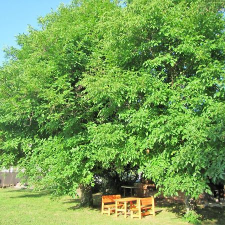 Bed and Breakfast Pod Orehi Postojna Zewnętrze zdjęcie
