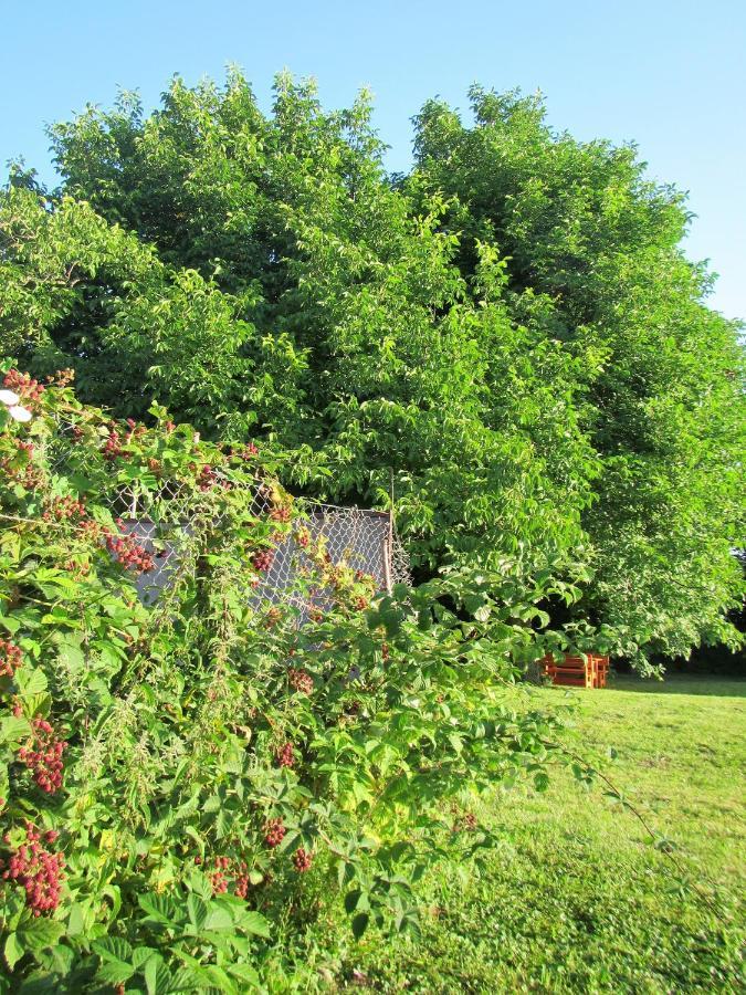 Bed and Breakfast Pod Orehi Postojna Zewnętrze zdjęcie