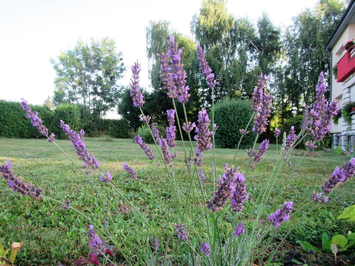 Bed and Breakfast Pod Orehi Postojna Zewnętrze zdjęcie