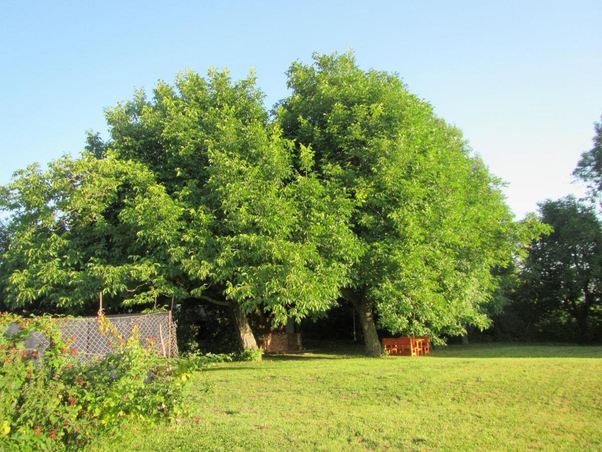 Bed and Breakfast Pod Orehi Postojna Zewnętrze zdjęcie