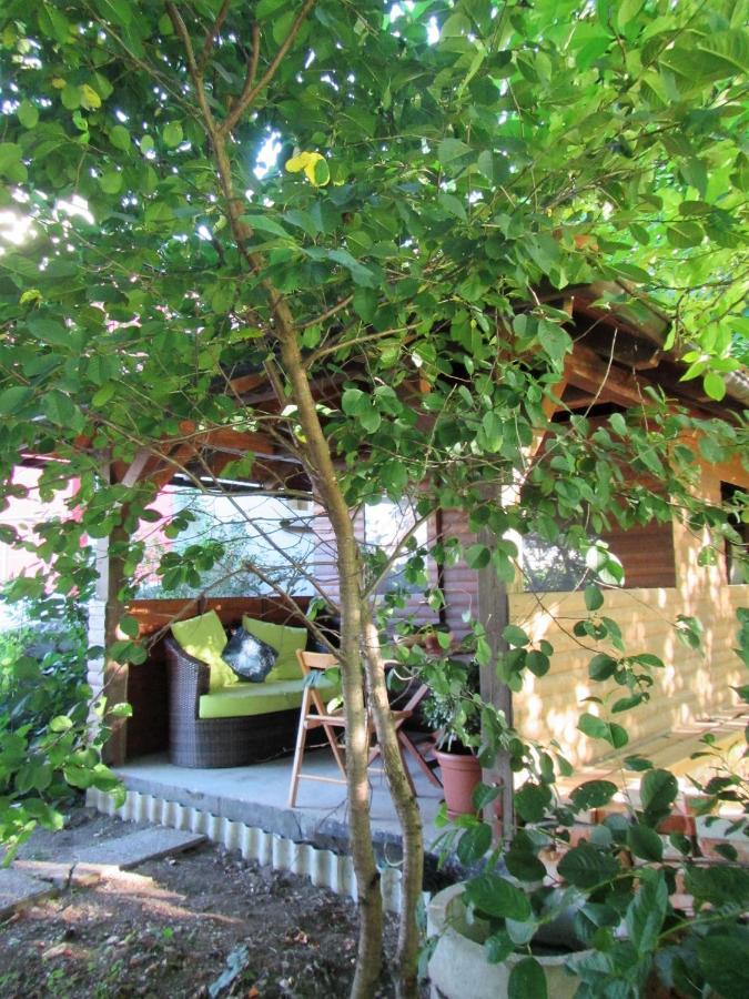 Bed and Breakfast Pod Orehi Postojna Zewnętrze zdjęcie
