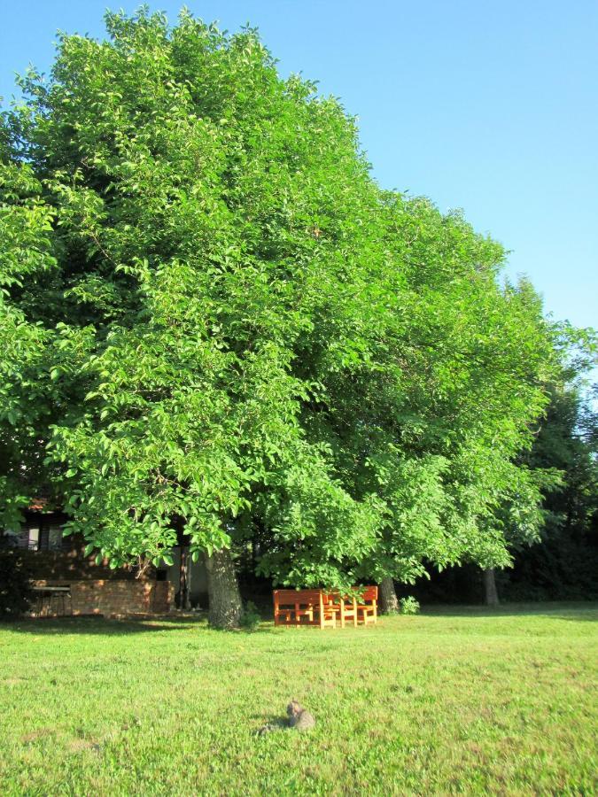 Bed and Breakfast Pod Orehi Postojna Zewnętrze zdjęcie